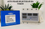 Tomzn Auto Phase Selector 63A 3 Phase 3P+N Voltage Current Protection Relay DIN Rail