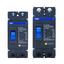Tomzn DC MCCB 2P 1000V 200A 250A Solar Molded Case Circuit Breaker for PV Systems